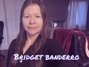 Bridget_banderro