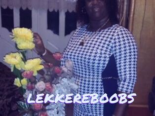 LEKKEREBOOBS