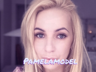 Pamelamodel