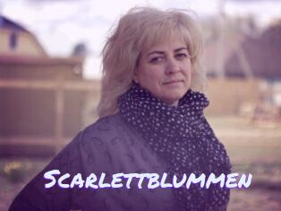 Scarlettblummen