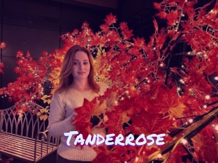 Tanderrose